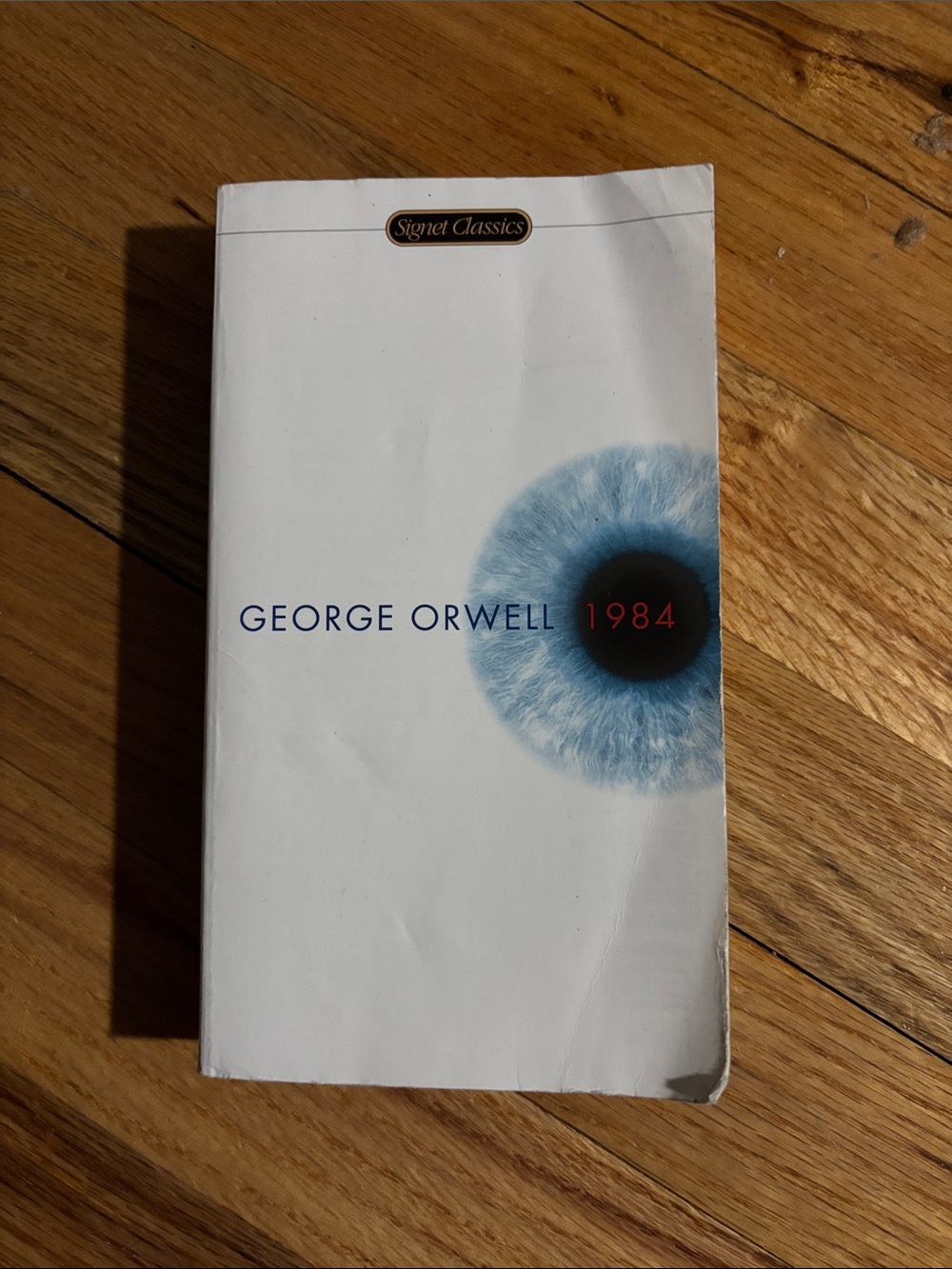 George Orwell 1984 Paperback with Blue Eye Cover